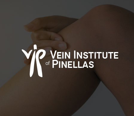 vein web design