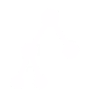 Entity-Based-Architecture entity based architecture